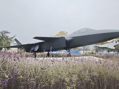 -成飞公园