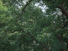 -狼山风景名胜区