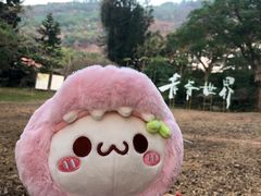 -青青世界