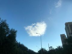 -喝丢一只鞋海鲜烧烤·海肠捞饭(市场店)