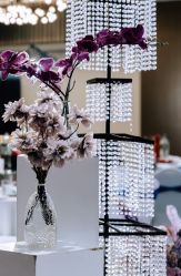 -明典婚礼策划·婚车租赁·婚纱摄影