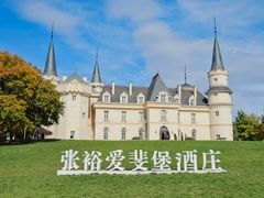 -北京张裕爱斐堡酒庄