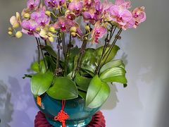 -拾花记花艺·求婚·订婚·生日布置(高新店)