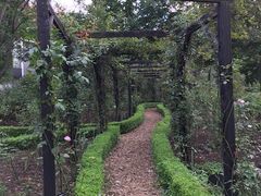 -维乐口腔医院(福清院)