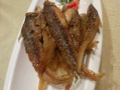 -森谷美食公园(杨行店)