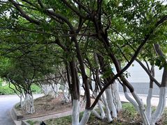 -烟台山景区