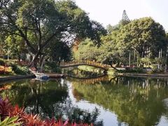 -晓港公园