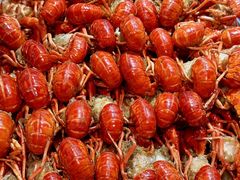 -黑牛码头·小龙虾(水围· 九街夜市店)