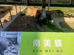 -西霞口神雕山野生动物世界