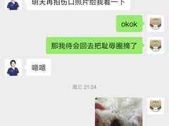 -伟伟宠物医院·CT影像中心·瑞派犬猫综合性门诊(汉口总院)