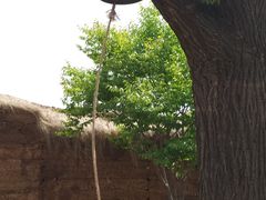 -白鹿原影视城
