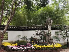 -汇龙潭