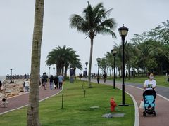 -野狸岛
