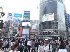 -涩谷全向十字路口