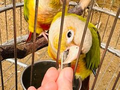 -南宫五洲植物乐园