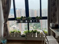 -叶老师古筝工作室(杨公桥店)