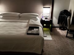 -佛山岭南天地康得思酒店