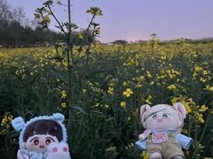 -汉长安城未央宫国家考古遗址公园