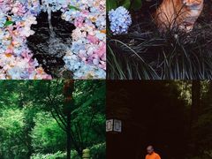 -杭州植物园