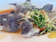 石斑鱼-明标海鲜楼