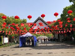 -上海海湾国家森林公园