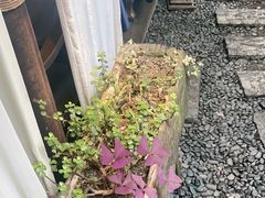 -都氏家DUSJOY(翡翠城店)