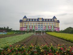-百万葵园