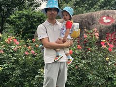 -鹅湖玫瑰文化园