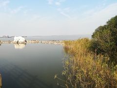 -吴淞炮台湾湿地森林公园烧烤区