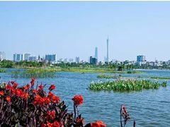 -晓港公园