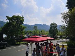 -美的鹭湖森林度假区