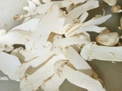 -野菌皇海景野生菌火锅(滨海大道店)