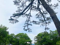 -京都御所