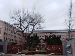 -大连市西岗区大同小学