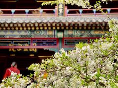 -潭柘寺景区
