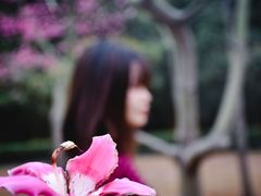 -晓港公园