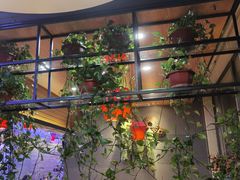 -山河屯铁锅炖(哈西站店)