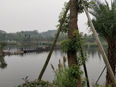 -枫香湖儿童公园