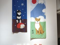 -柴迷FANS CLUB·柴犬狗咖·猫咖