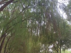 -汉江湾体育公园