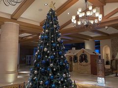 -长白山万达喜来登度假酒店