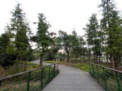 -尚贤河湿地