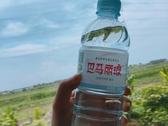 -港湾糖水