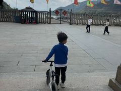 -悦城龙母祖庙