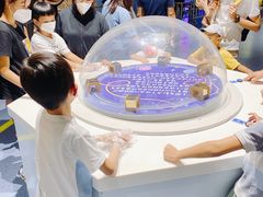 -中国杭州低碳科技馆