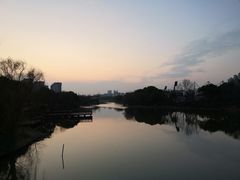 -新江湾城公园