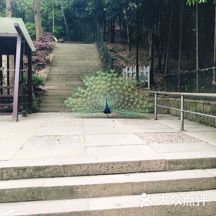 百鸟乐园图片-北京亲子乐园-大众点评网