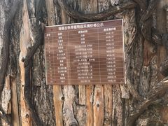 -呀路古热带植物园