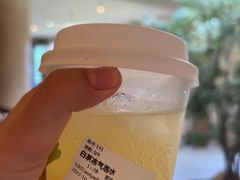-白茶原·一片叶子