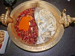 -锅说大脸毛肚重庆老火锅(佐阾店)